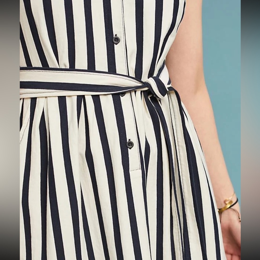 Anthropologie Black and White Striped Midi Dress - Picture 4 of 11
